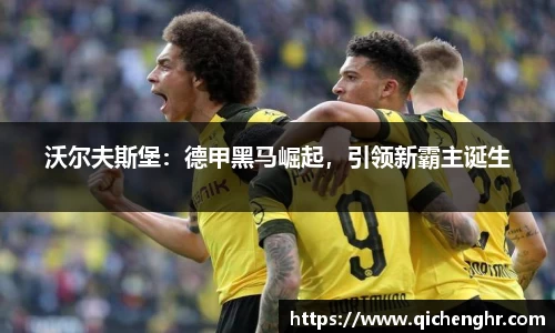 沃尔夫斯堡：德甲黑马崛起，引领新霸主诞生
