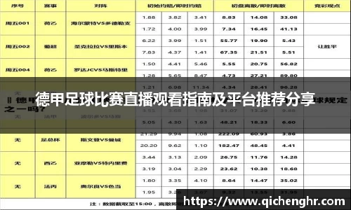 德甲足球比赛直播观看指南及平台推荐分享